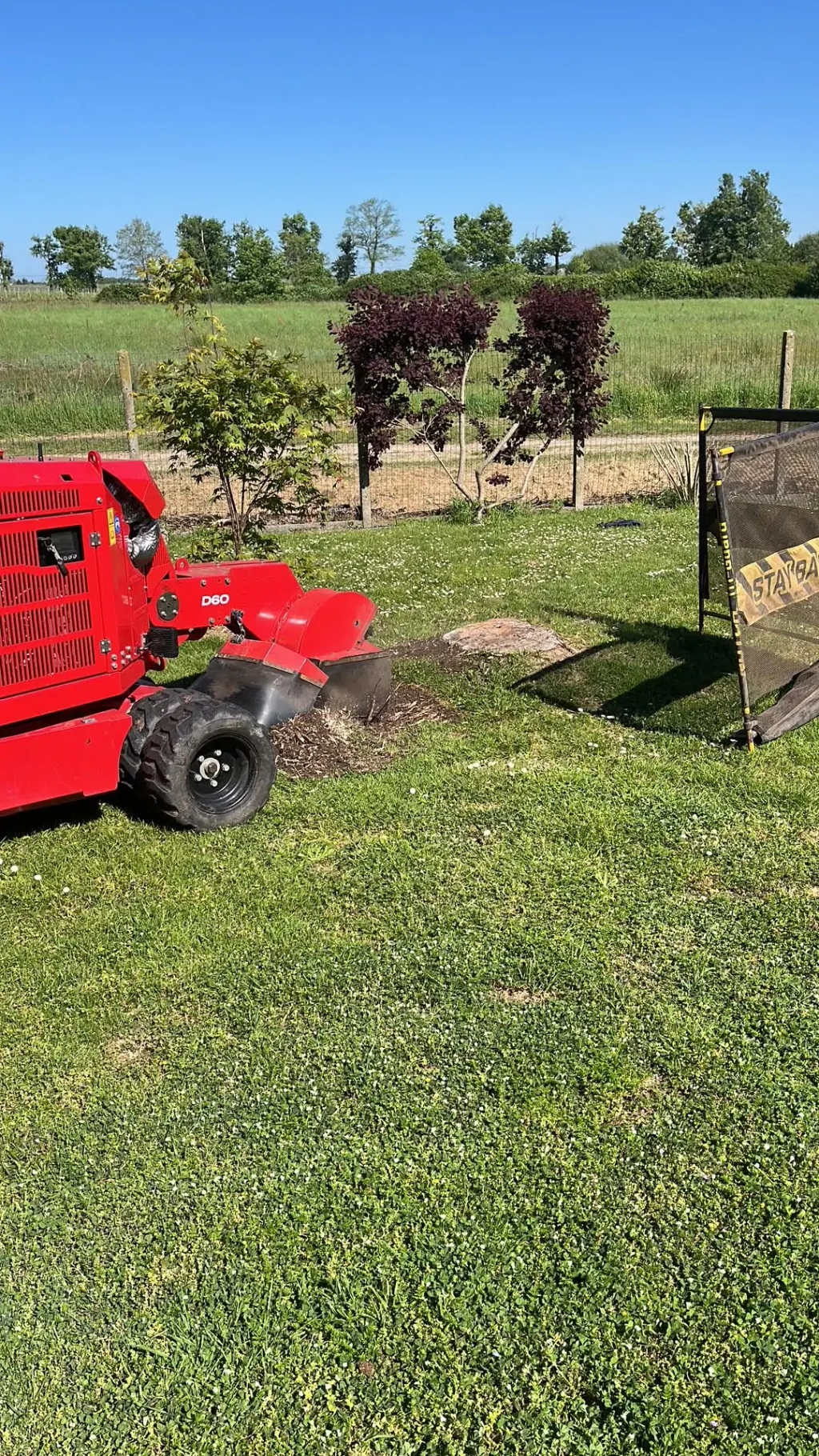 🌳 Rognage de souche en Gironde : une solution propre et efficace avec Commando Élagage